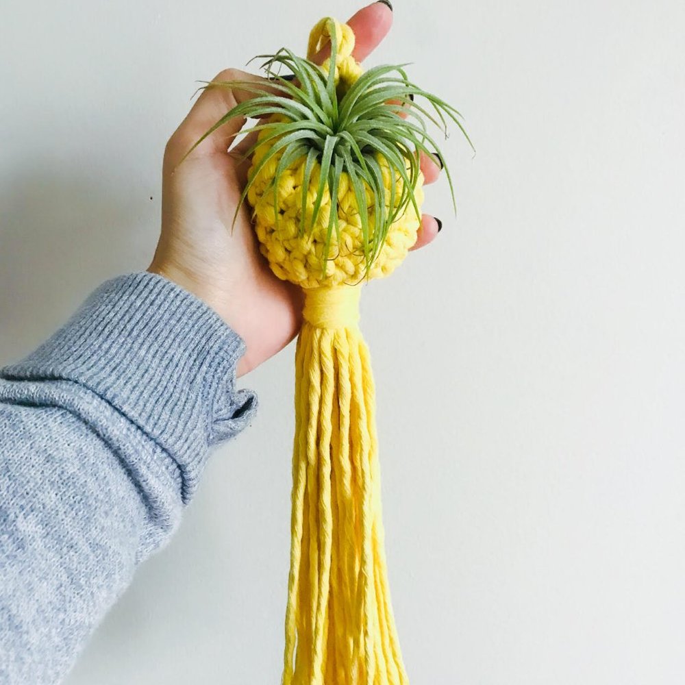 Handmade macrame air plant pod/ holder/ hanger